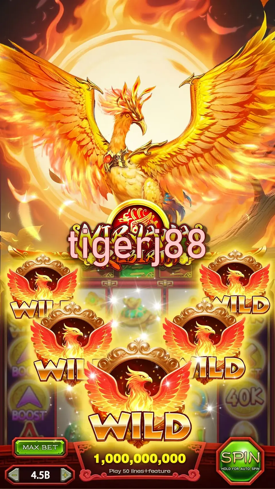 tigerj88 Masuk